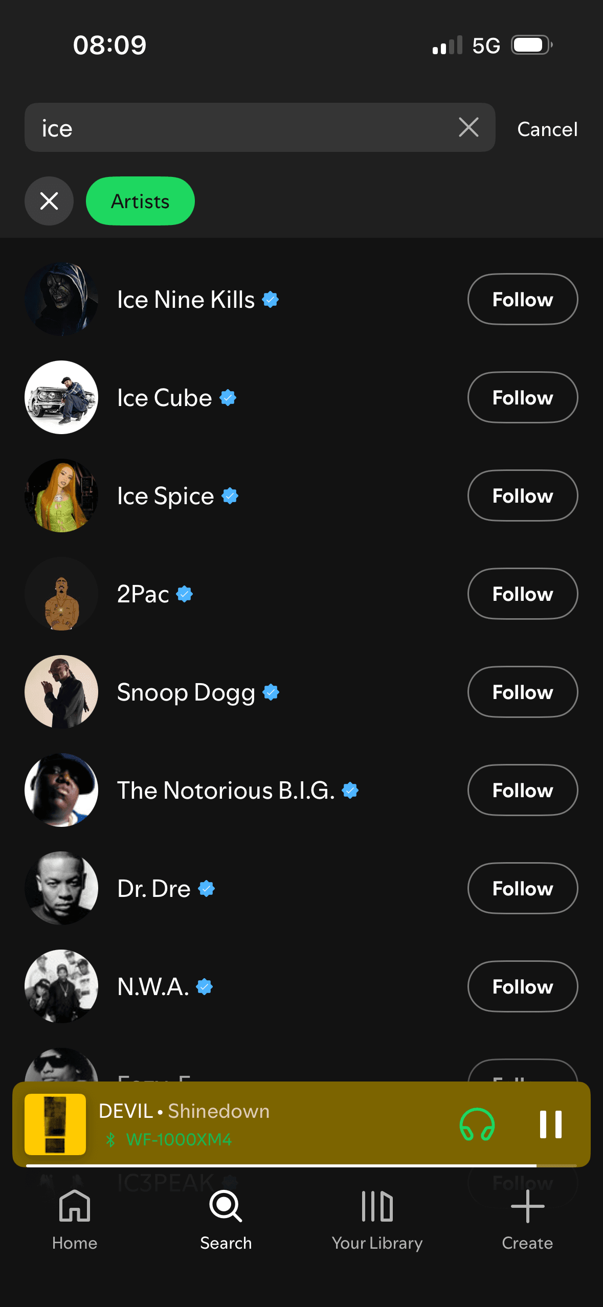 Spotify: Search results (filter: artist)