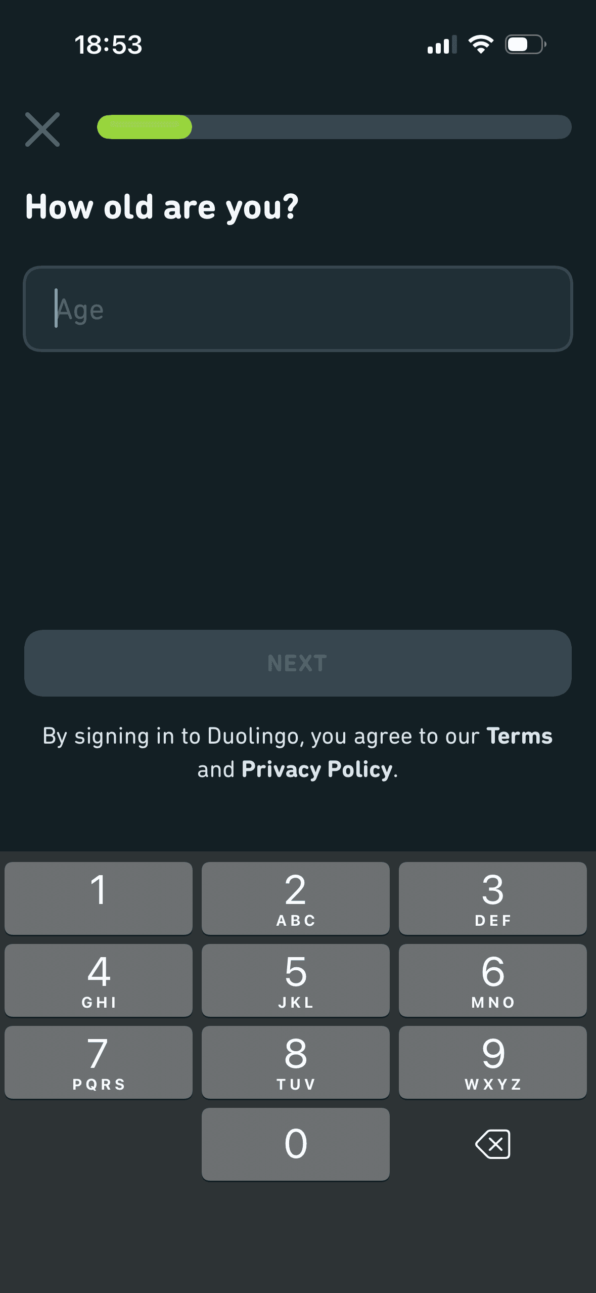 Duolingo: Age entry, terms and privacy